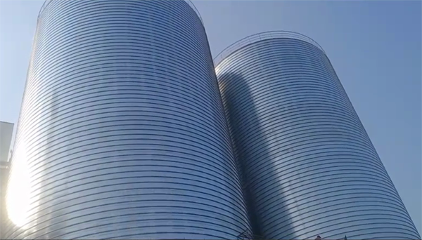 白山2座混凝土高架卷板仓